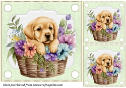 3 Green floral pup in basket card front/toppers 9