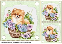 3 Green floral pup in basket card front/toppers 11