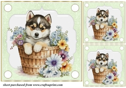 3 Green floral pup in basket card front/toppers 15