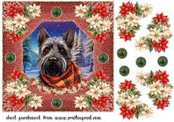Poinsettia Scottish terrier card front 7