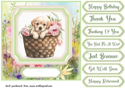 Floral puppy in basket card front 11