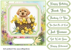 Floral puppy in basket card front 14