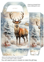 Christmas themed gift bag (N3)