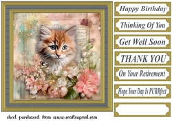 Framed floral cat card front (n1)