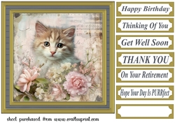 Framed floral cat card front (n3)