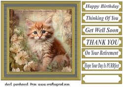 Framed floral cat card front (n4)