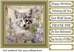 Framed floral cat card front (n6)