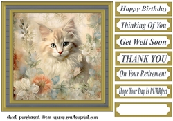 Framed floral cat card front (n7)