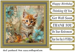 Framed floral cat card front (n9)