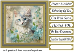 Framed floral cat card front (n10)
