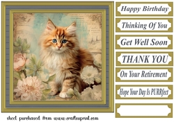 Framed floral cat card front (n12)