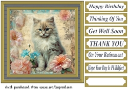 Framed floral cat card front (n15)