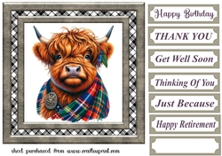 Tartan Highland cow card front 5