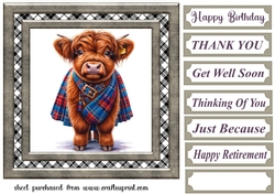 Tartan Highland cow card front 10