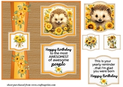 2 Panel Birthday hedgehog card front 1