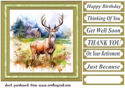 Country wildlife card front 1