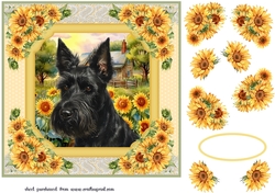 Framed sunflower Scottish terrier card front 2