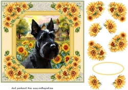 Framed sunflower Scottish terrier card front 5