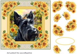 Framed sunflower Scottish terrier card front 13