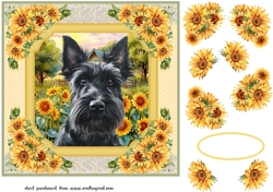 Framed sunflower Scottish terrier card front 15