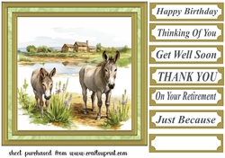 Framed donkeys card front 1