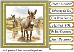 Framed donkeys card front 2