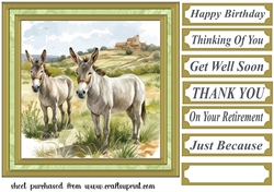 Framed donkeys card front 3