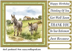 Framed donkeys card front 6