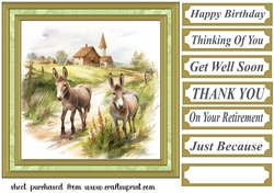 Framed donkeys card front 7