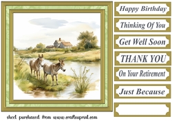 Framed donkeys card front 8