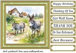 Framed donkeys card front 9