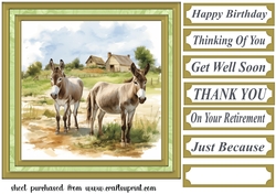 Framed donkeys card front 10