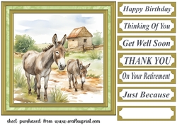 Framed donkeys card front 11