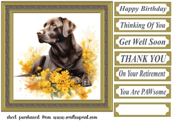 Floral Chocolate Labrador card front 1