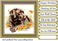 Floral Chocolate Labrador card front 3