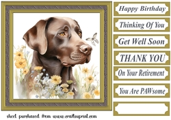 Floral Chocolate Labrador card front 4