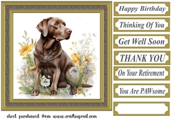 Floral Chocolate Labrador card front 6