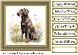 Floral Chocolate Labrador card front 9