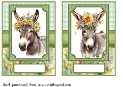 2 Floral donkey card fronts 2