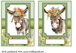 2 Floral donkey card fronts 9