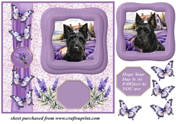 Framed lavender Scottish terrier card front 1
