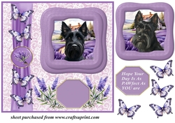 Framed lavender Scottish terrier card front 2