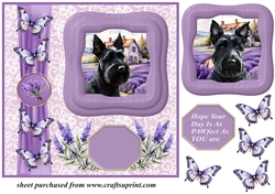 Framed lavender Scottish terrier card front 3