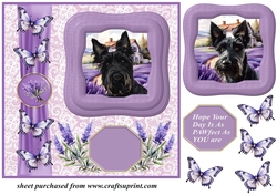 Framed lavender Scottish terrier card front 6