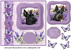 Framed lavender Scottish terrier card front 7