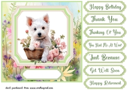 Cute floral Westie card front 16