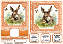 6x6 and 5x7 Orange floral donkey card fronts 6
