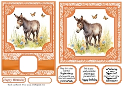 6x6 and 5x7 Orange floral donkey card fronts 9