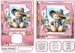 6x6 and 5x7 Pink Paris fashionista bear card fronts 1