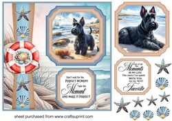 2 Panel Scottish terrier on beach card front 1